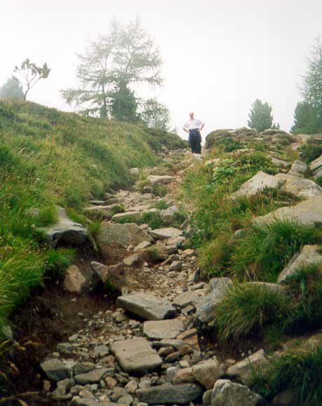 Fr Zurck bitte anklicken